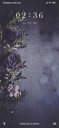 Roses on Wall_3MDS