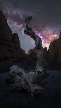 夜空中有多少颗星星
