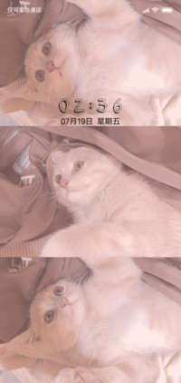 一只喵星人