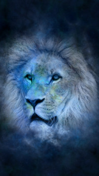 King Of Jungle (4)