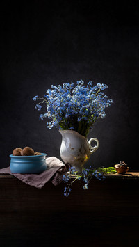 Bouquet of forget-me-nots and walnuts on a dark background