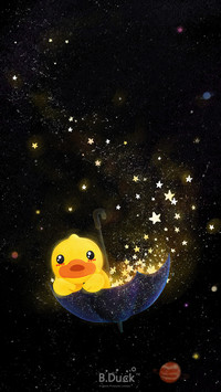 B.Duck (30)