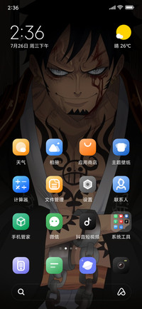 One Piece v11