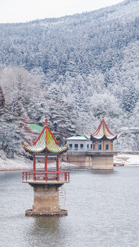 冰雪雾凇-拍信图库