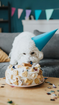 Taste the birthday cake