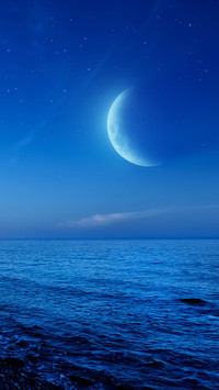 大海