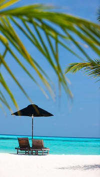 Go to Maldives