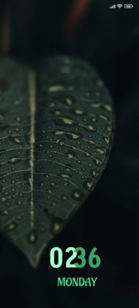 Droplets on Leaf