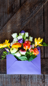 A Letter from Spring