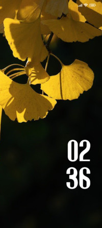 Petals