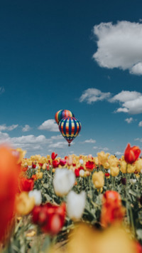 Hot Air Balloon (18)