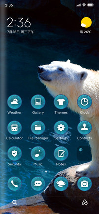 polar bear