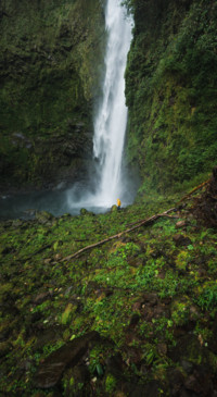Nature HD - 2020-06-02T123653.610