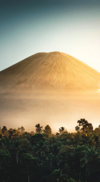 Nature HD - 2020-06-02T123342.442
