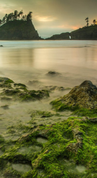 Nature HD - 2020-06-02T124008.876