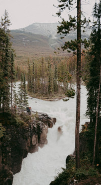 Nature HD - 2020-06-02T130236.546