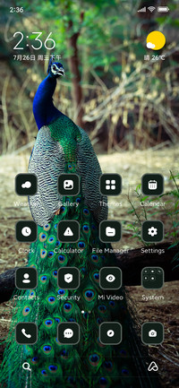 Peacock