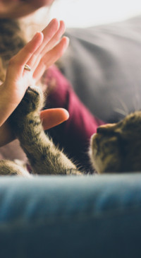 Caring For You  (2)