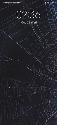 Spider Web-Purple