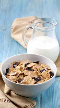 Nutritional breakfast 4