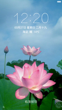 荷花盛开 荷叶正绿 右滑解锁