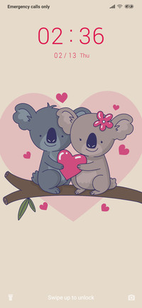 KoalaCouple_3MDP