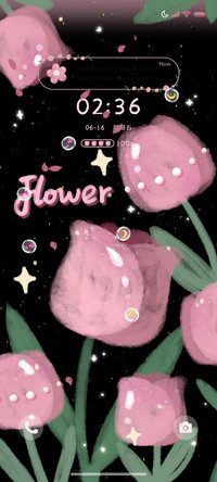 粉黑花花 多壁纸