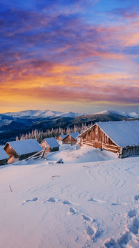 Winter Snowfield
