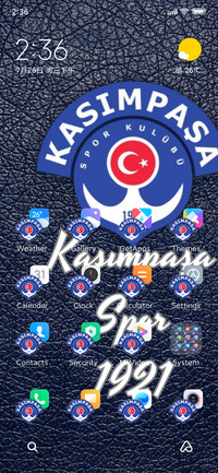 KASIMPASA SPOR