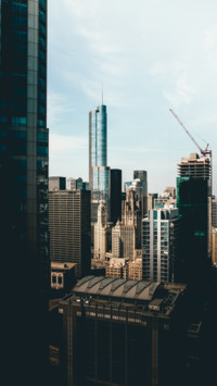 Urban Jungle (10)