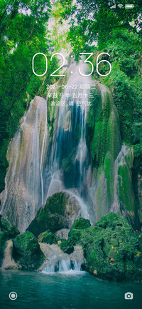 夏日森林