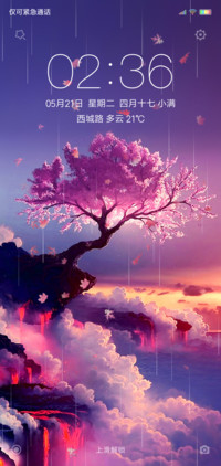 樱花盛开时