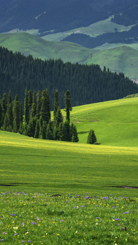 VCG211292974615