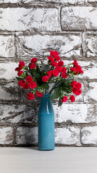 Three key points of raising flowers and watering 94