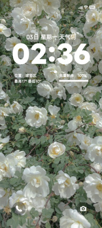简约花ins