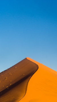 desert