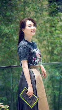 陈数