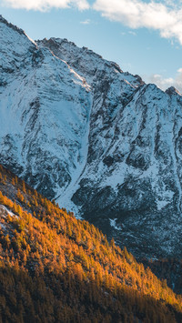 Snow mountains, colorful forests at sunset