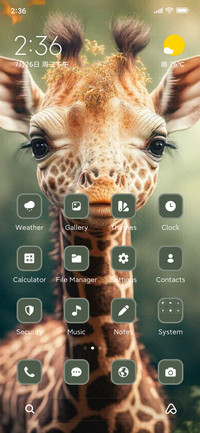 Baby Giraffe