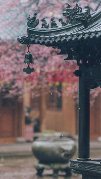 庭院桃花开满园-视觉中国