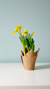 Potted fertilizer 25