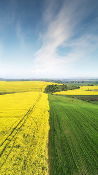 Farmland fields
