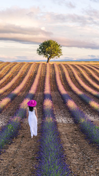 International-Haute Provence