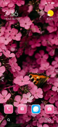Pink Petal