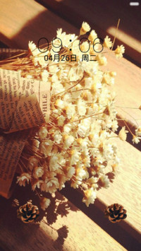 【简物】瓶中信