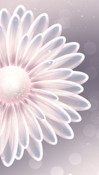 Crystal flower-Desity