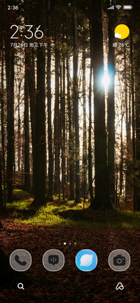Golden Rays