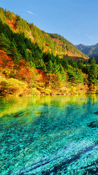 五彩斑斓的九寨沟