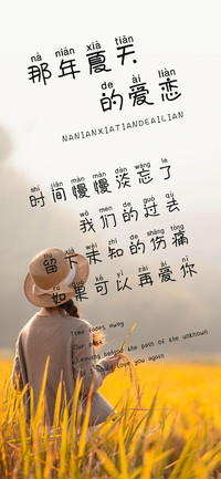 那年夏天的爱恋
