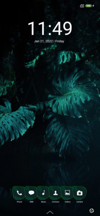 Jungle duo